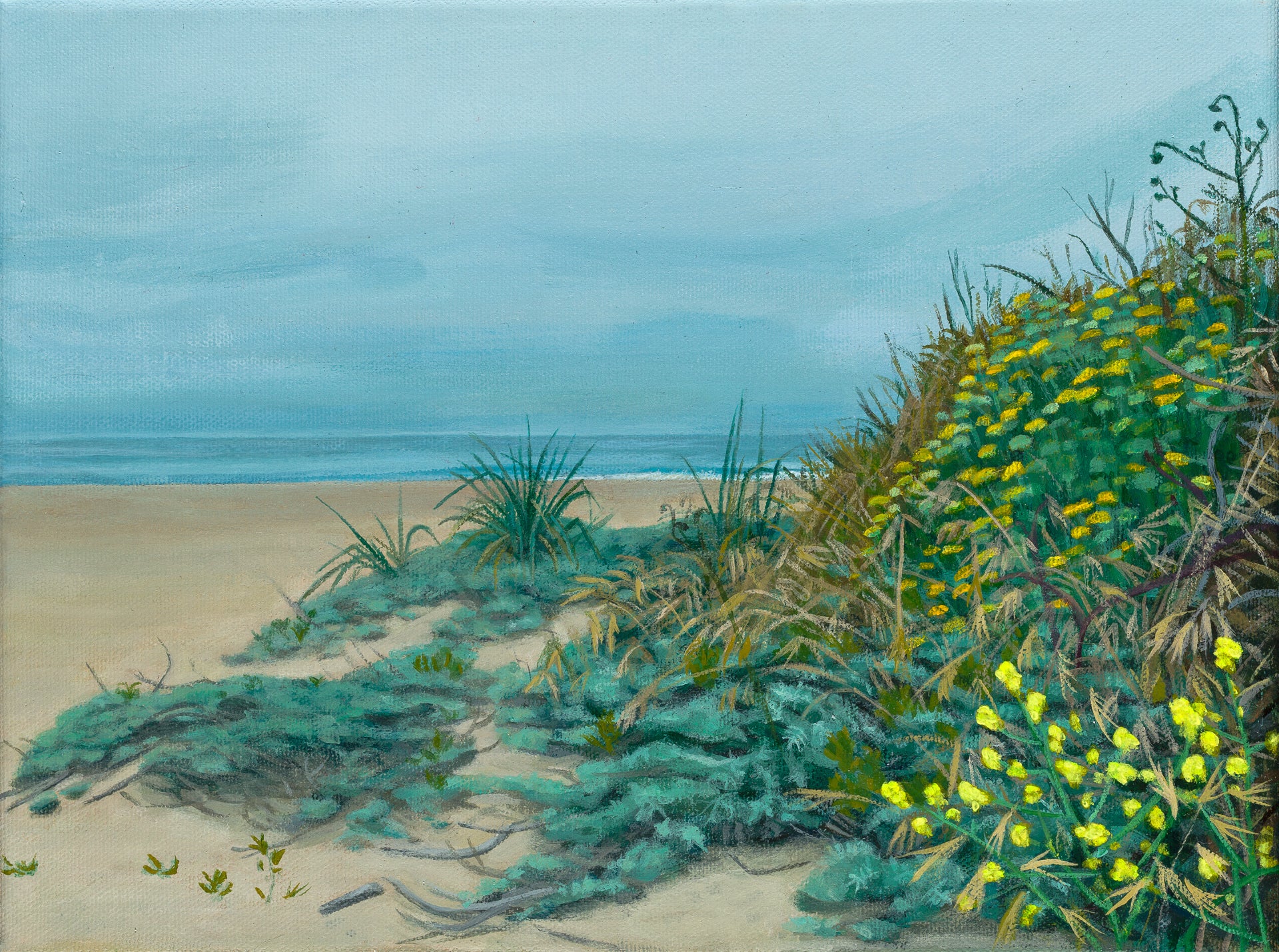 Dunes at Laguna Creek Beach