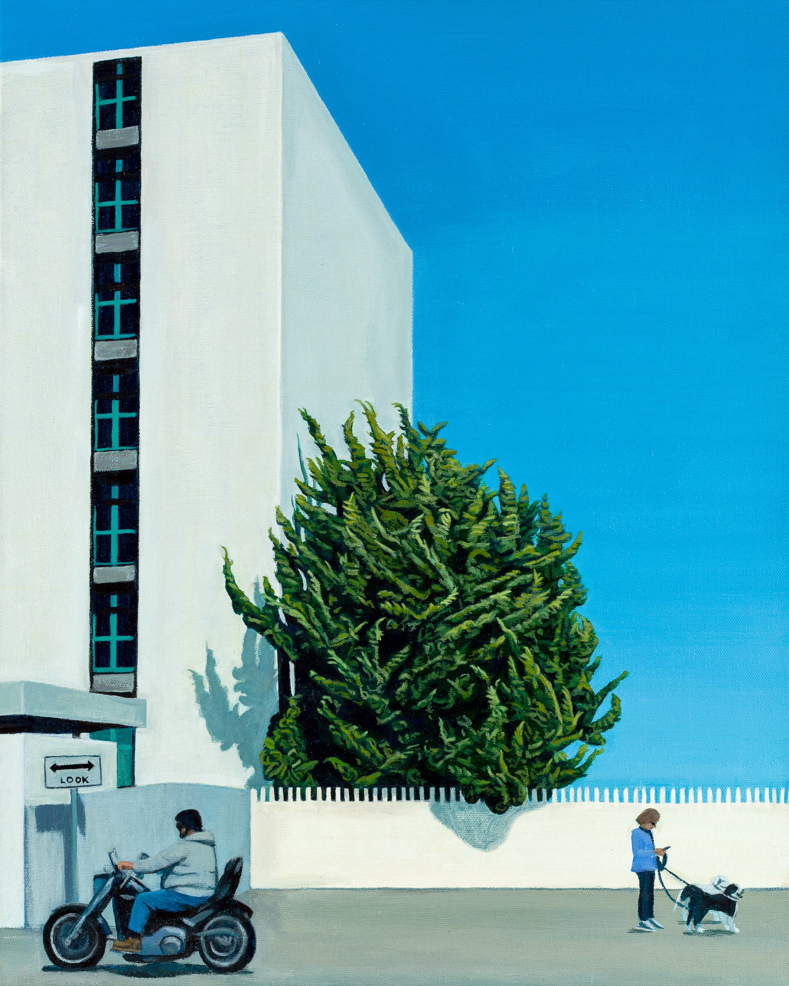CYPRESS TREE AT DREAM INN