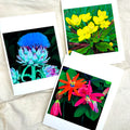 3-pack Fine-art Greeting Cards